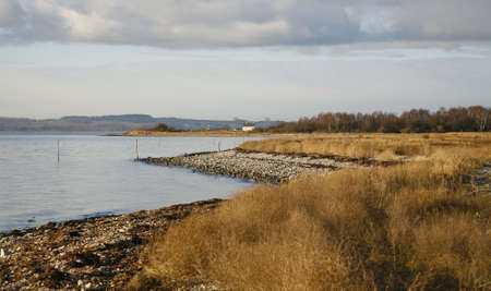 Coastline at wintertime -  inlet Denmark.