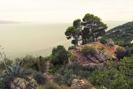 Croatian landscape and coastline near Dubrovnik. Image cross processed to reflect age. Space for text.の写真素材