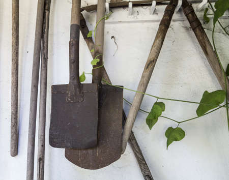 Vintage garden tools hanging on an outdoor wall.の写真素材
