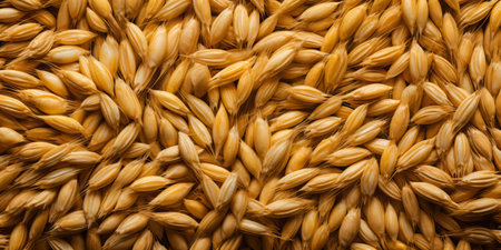 Golden Grains Extravaganza on the Plateの素材