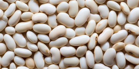 Kidney Beans Mastery. A Chef's Creative Touchの素材