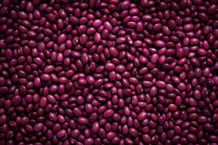 Red Bean Paste. Your Print Media Partnerの素材