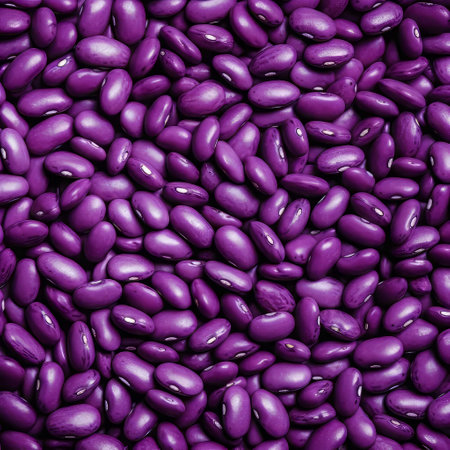 The Visual Texture of Red Haricot Kidney Beans. An Analysisの素材