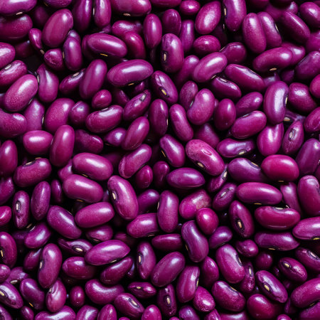 Red Kidney Beans Texture Appreciation. A Vegan's Choiceの素材