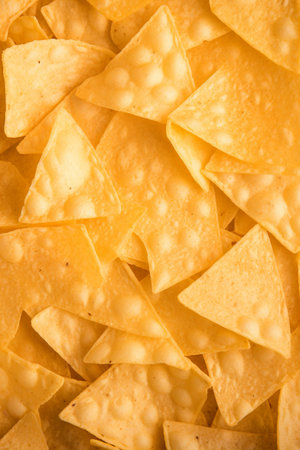 Tortilla Chip Artistry. Close-Up Culinary Beautyの素材
