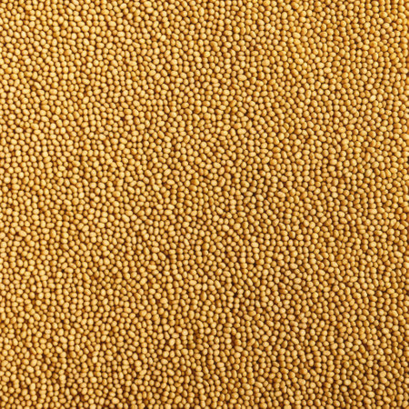 Millet Mayhem. A Top-View Design Surprise.の素材