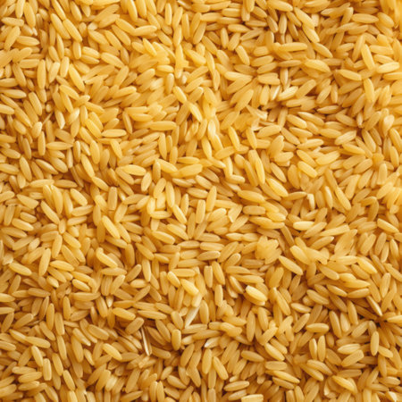 Rice Seed Mastery. A Culinary Top-Down Journeyの素材