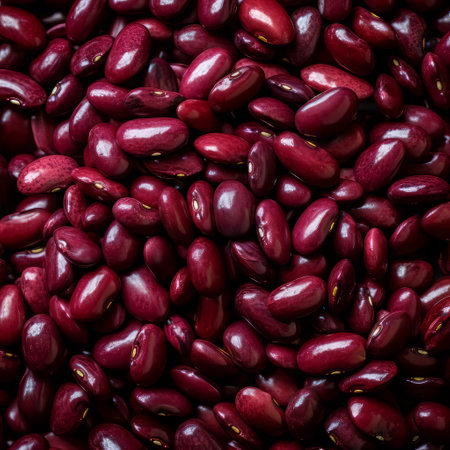 Cool Red Beans for Your Amazing Work.の素材