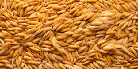 Masterpiece of Grains. Artful Culinary Inspirationの素材