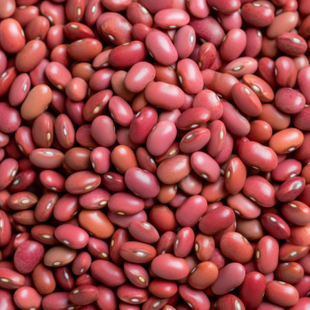 The Culinary Journey of Dark Red Kidney Beansの素材