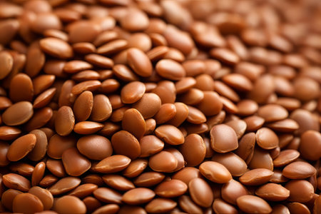 Red Kidney Beans Texture for Print Media Artの素材