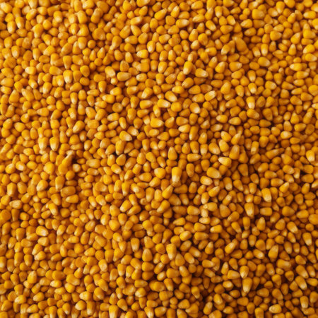 Yellow Millet Abundance from the Top Viewの素材