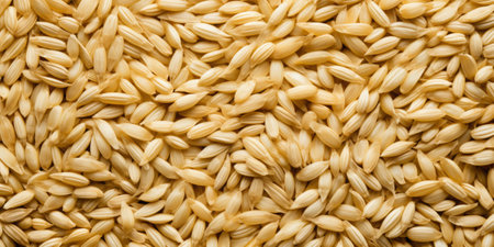 Sensational Seed Showcase in Close-Up Splendorの素材