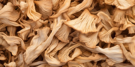 Mushroom Wonderland. Autumn Caps on a White Plateの素材