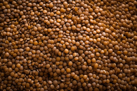 Raw buckwheat grains background texture with place for textの素材