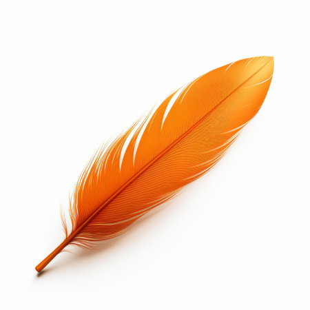 Orange feather isolated on white background.の素材