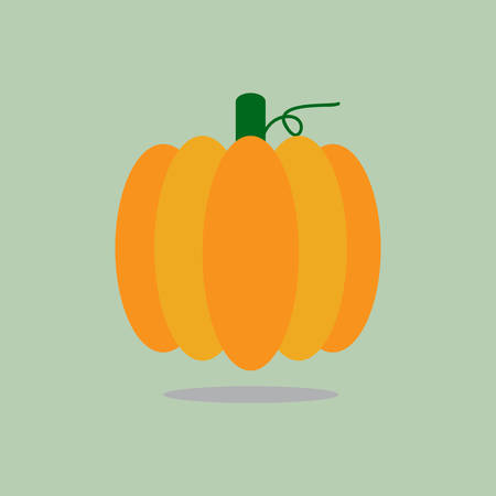 Pumpkin Iconのイラスト素材