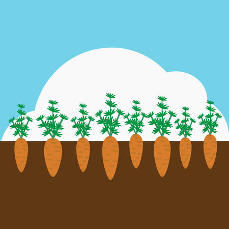 Carrot plant illustration.のイラスト素材