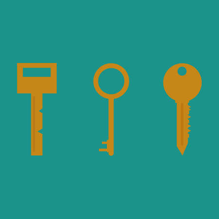 Key vector icon. Key flat illustration.のイラスト素材