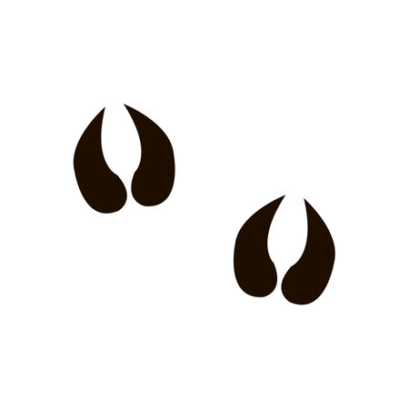 Footprint icon. Footprint vector icon. Footprint vector iconのイラスト素材