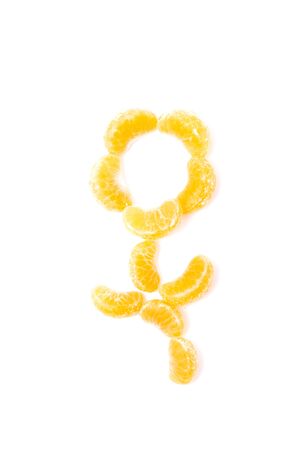 Many orange shape white backgroundの写真素材