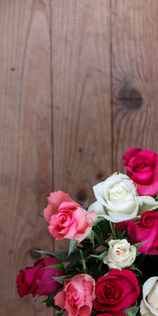 Vase with flowers standing near the windowの写真素材