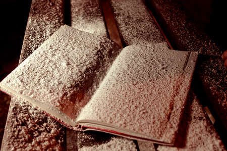The opened snowbound book on the banch in the winter parkの写真素材