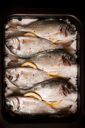 Dorade with lemon and spice on salt crustの写真素材