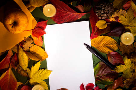 Autumn leavesの写真素材