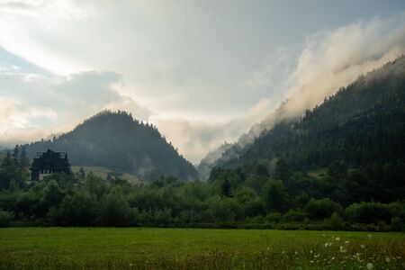 Three crowns in moneyの写真素材