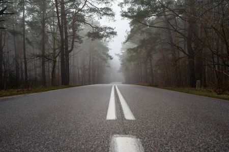 Autumn misty roadの写真素材