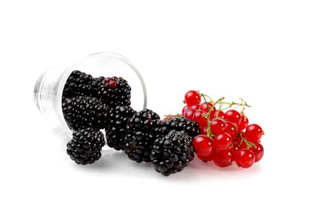 Berriesの写真素材