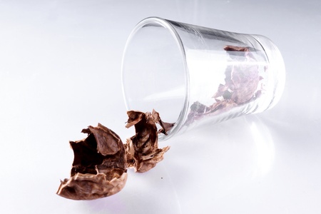 Glass with Walnut shellsの写真素材