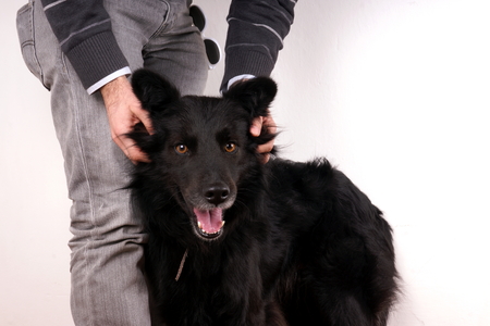 Man and dogの写真素材