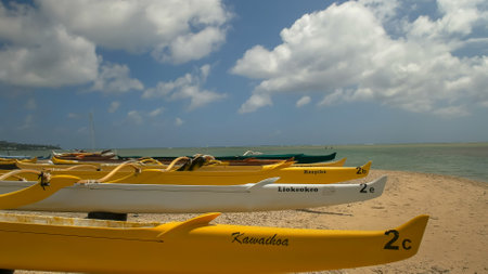 a group of yellow outrigger canoes at hawaii kai on oahuのeditorial素材
