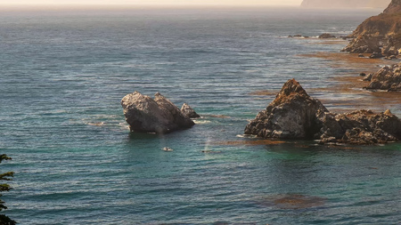 migrating humpback whales surface at julia pfiffer burns state park along the california coast