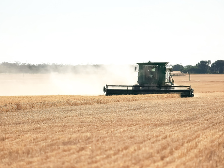 long shot of a backlit silhouetted header being used on a farm to harvest ripe grain