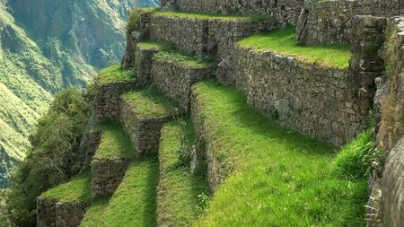 close up of grass growing on teraces at machu picchuの写真素材