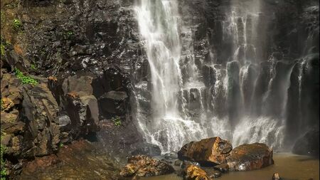 the base of purlingbrook waterfall in springbrook national park