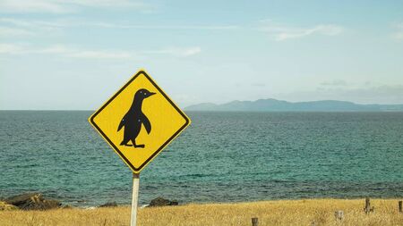 penguin road sign at stanley in tasmaniaの写真素材