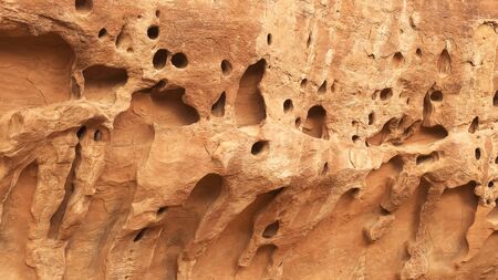 an eroded sandstone wall at arches national park, utahの写真素材