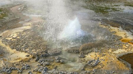 anenome geyser bubbling hot water in yellowstone