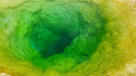 close up of the vivid green water of morning glory pool in yellowstoneの写真素材
