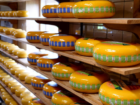 AMSTERDAM, NETHERLANDS OCTOBER, 12, 2017: close view of gouda cheese wheels at zaanse schans near...