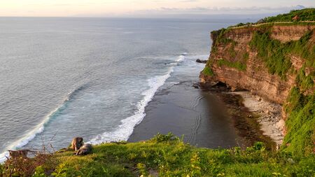 wide shot of macaques resting on a cliff edge at uluwatu temple in baliの写真素材