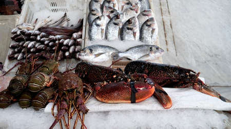 seafood for sale at a market in casablancaの写真素材