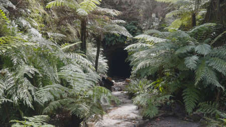 glow worm tunnel entrance near lithgow in nsw