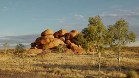 devils marbles and eucalyptus trees at sunsetの写真素材