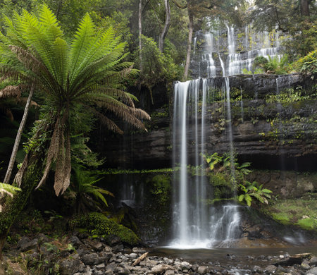 front view of summer flow on russell falls at mt field national park in tasmaniaの写真素材
