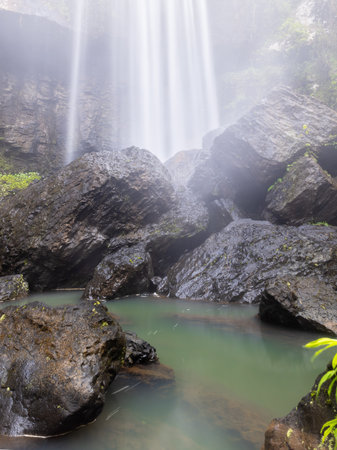 zillie falls on the atherton tableland of nth queensland,の写真素材